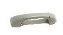 9195576 Interior Grab Bar